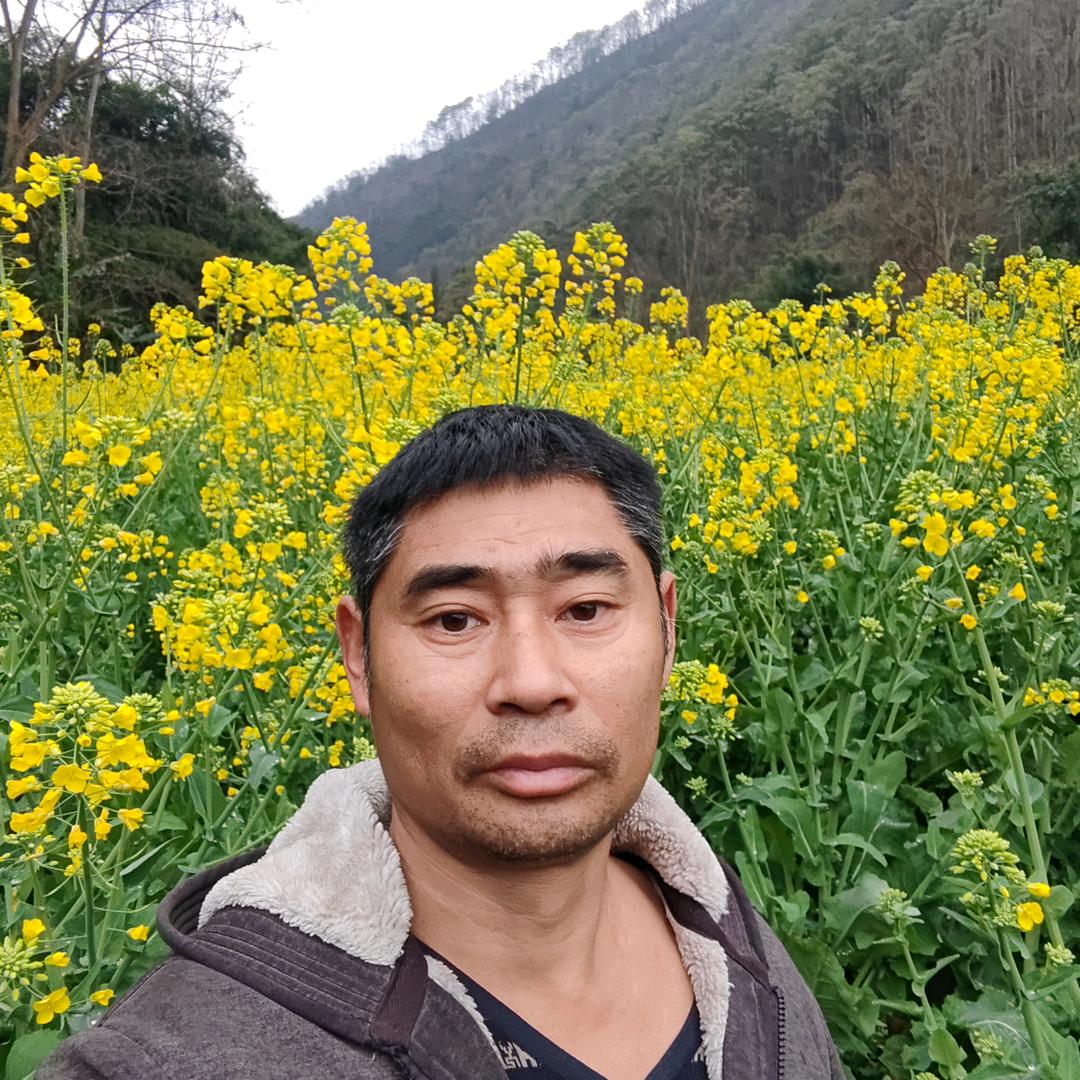 王哥创业！（1.19）