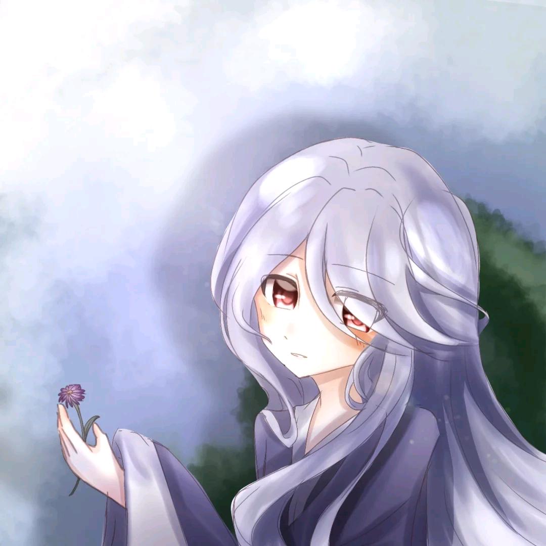 吾家有猫叫大秦（困觉版）