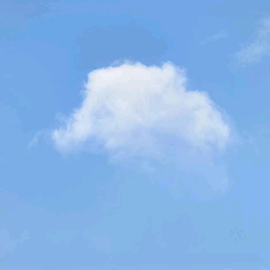 李白也