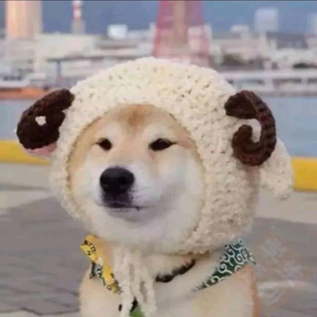 黑色幽默感