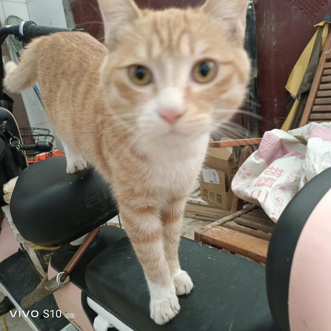 隧缘