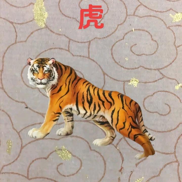 开心快乐每一天