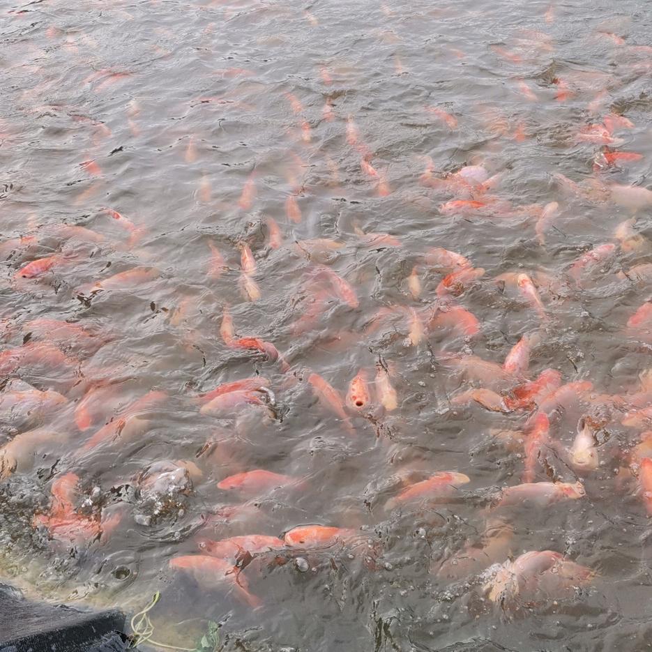 一生有你