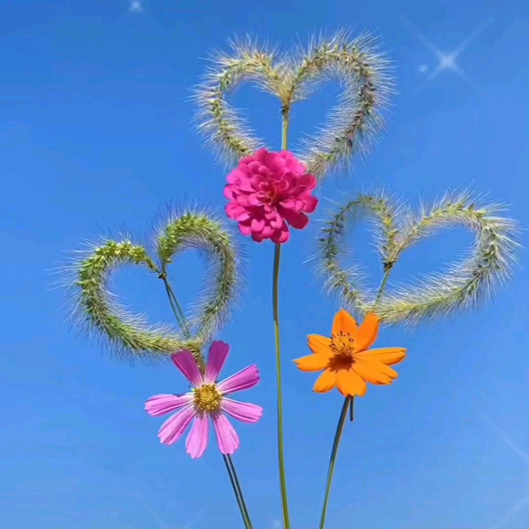 🥀এ᭄不必 ꦿ谁💔懂我ོ࿐ᩚ