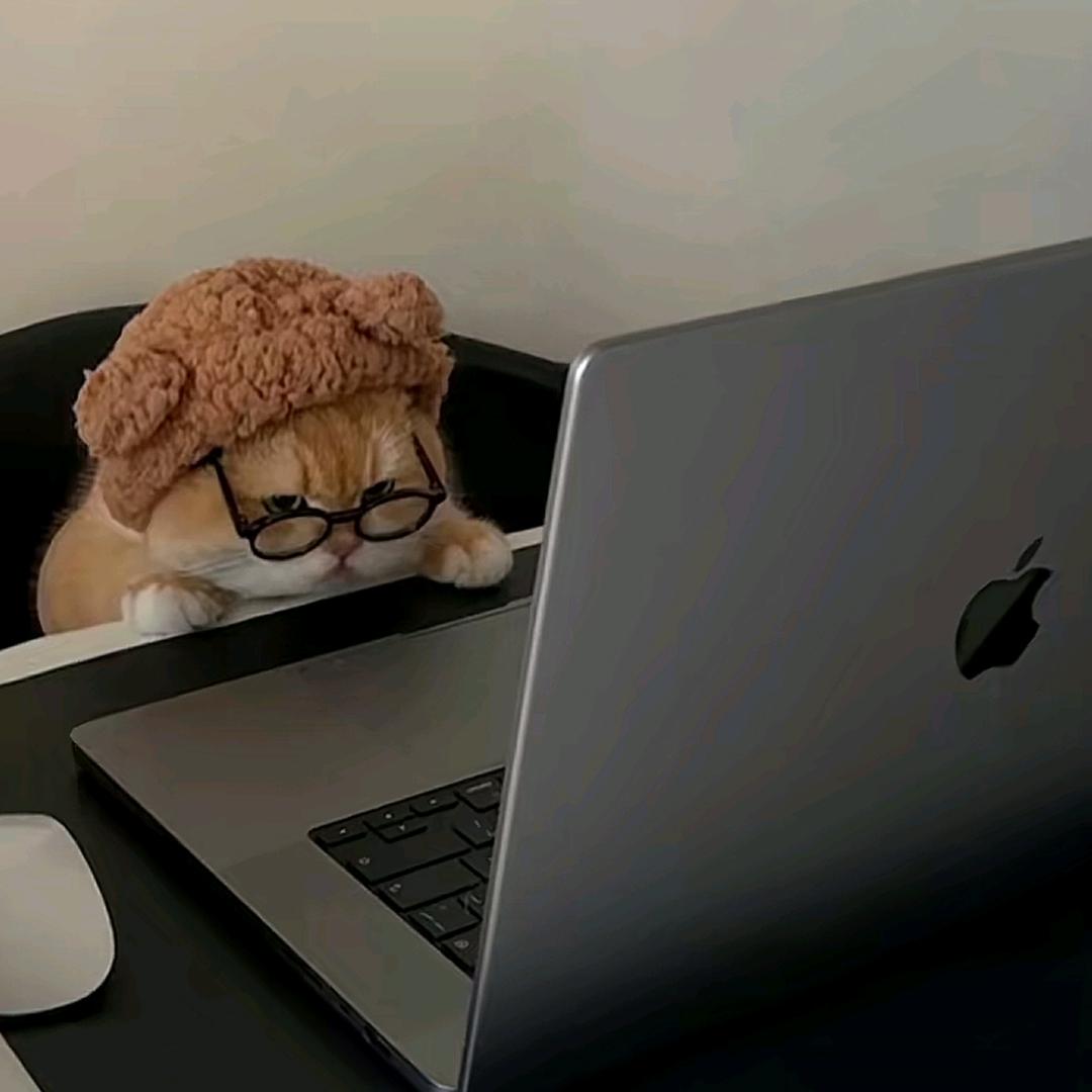清禾