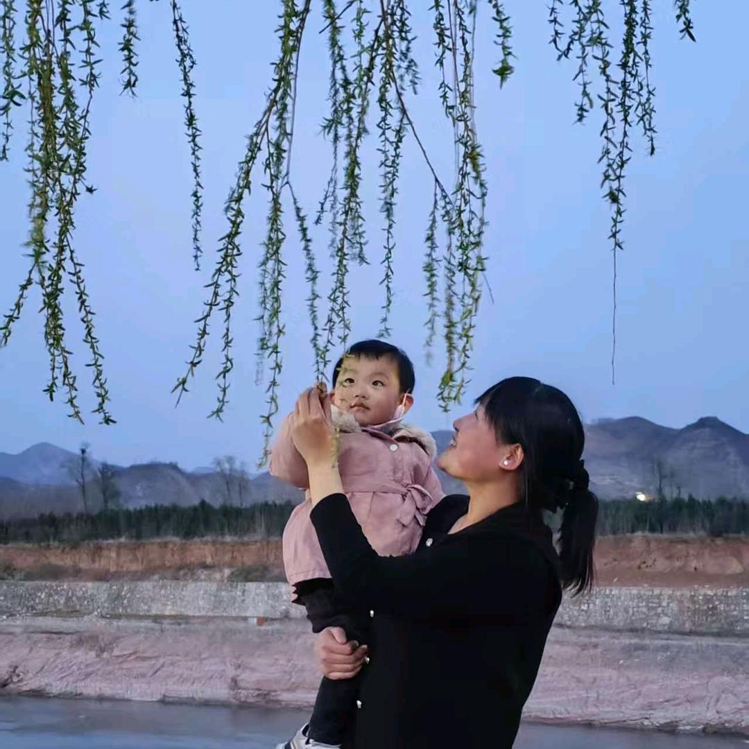 枫叶👫