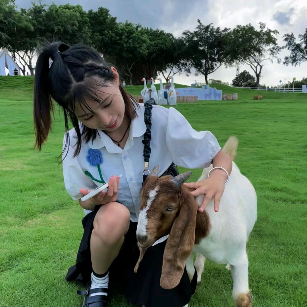 小王妹