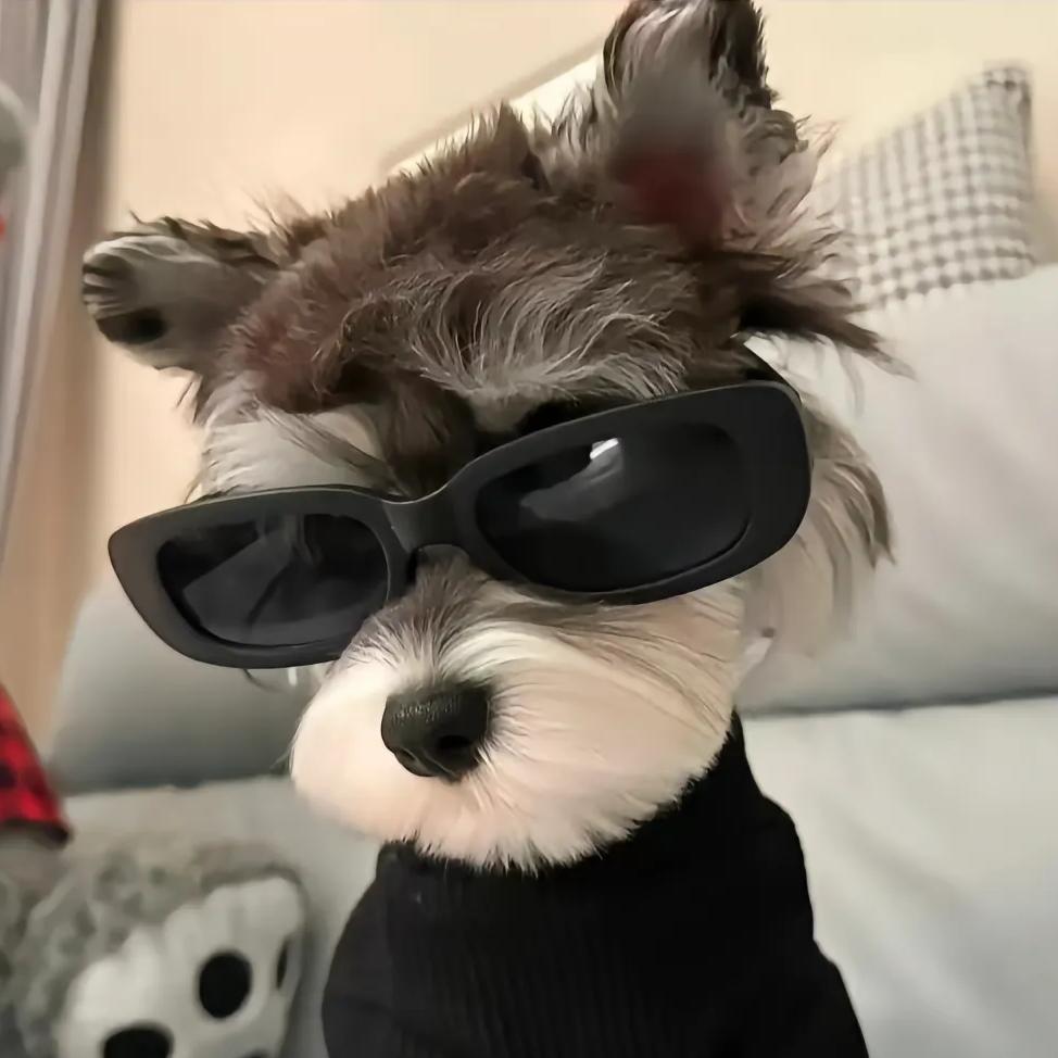 ꧁小李想打球꧂