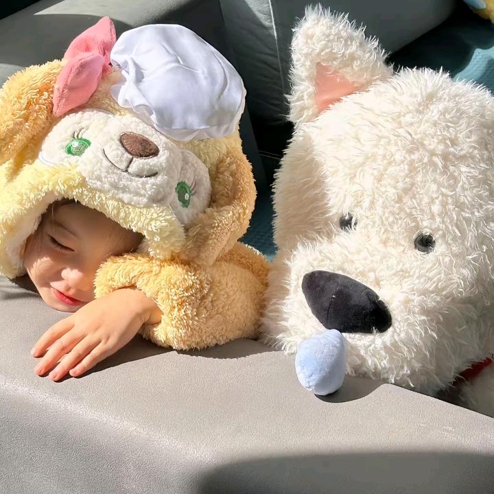 小Yu丸