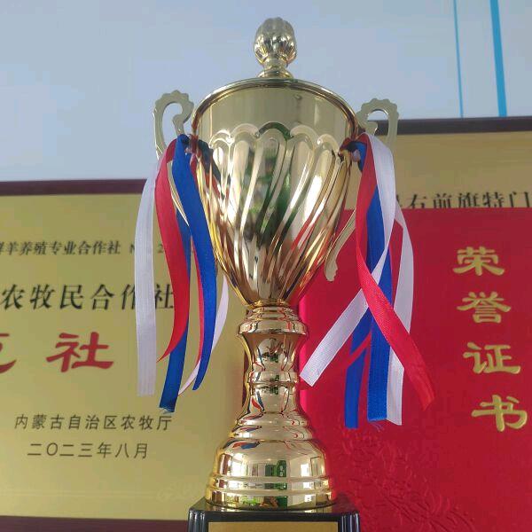 一群羊食品