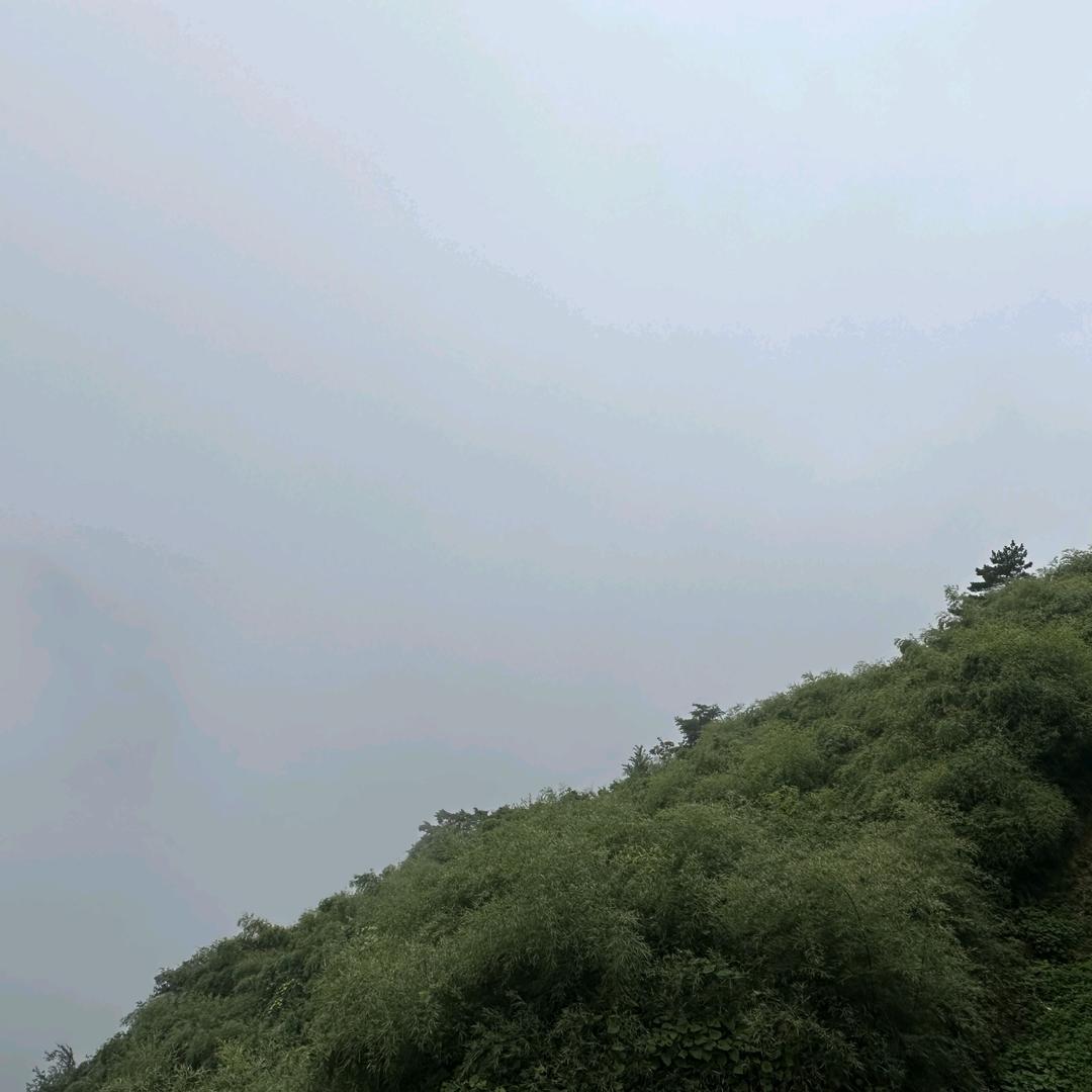 長鴻