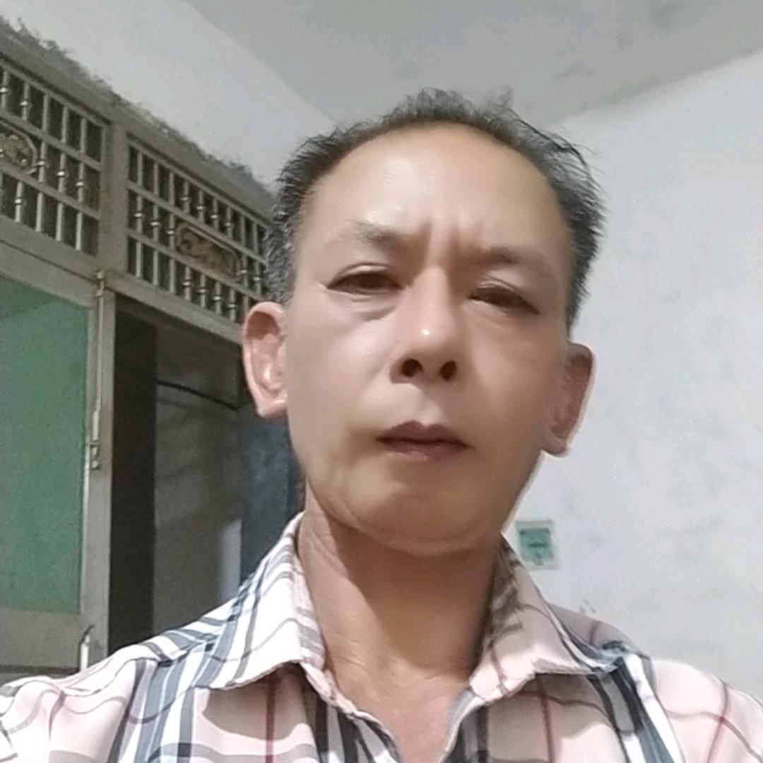 南飞雁