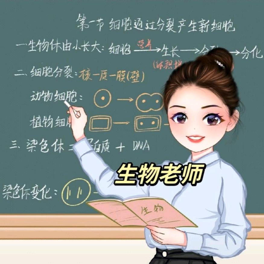 画染色体的生物老师