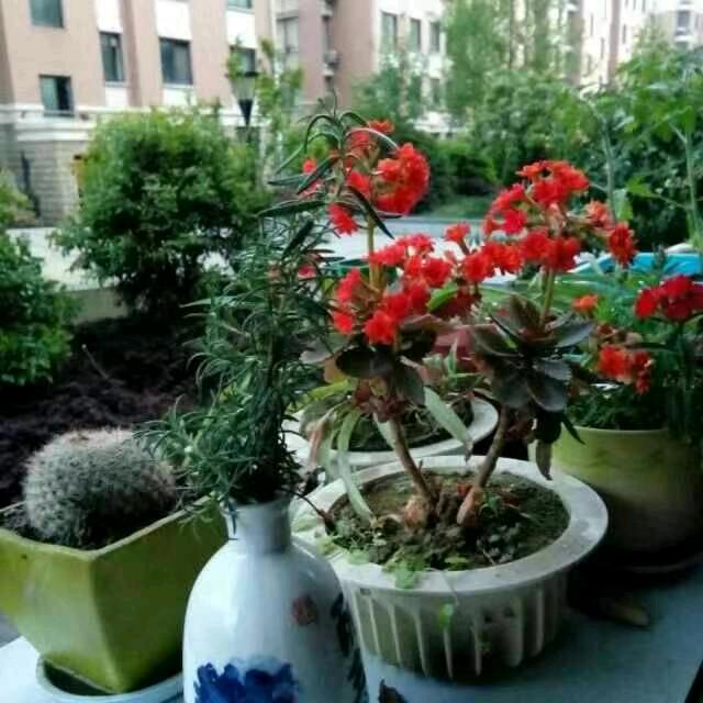 顺其自然