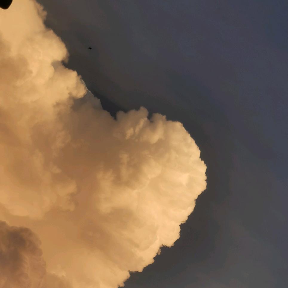 天边广州忱阅贸易