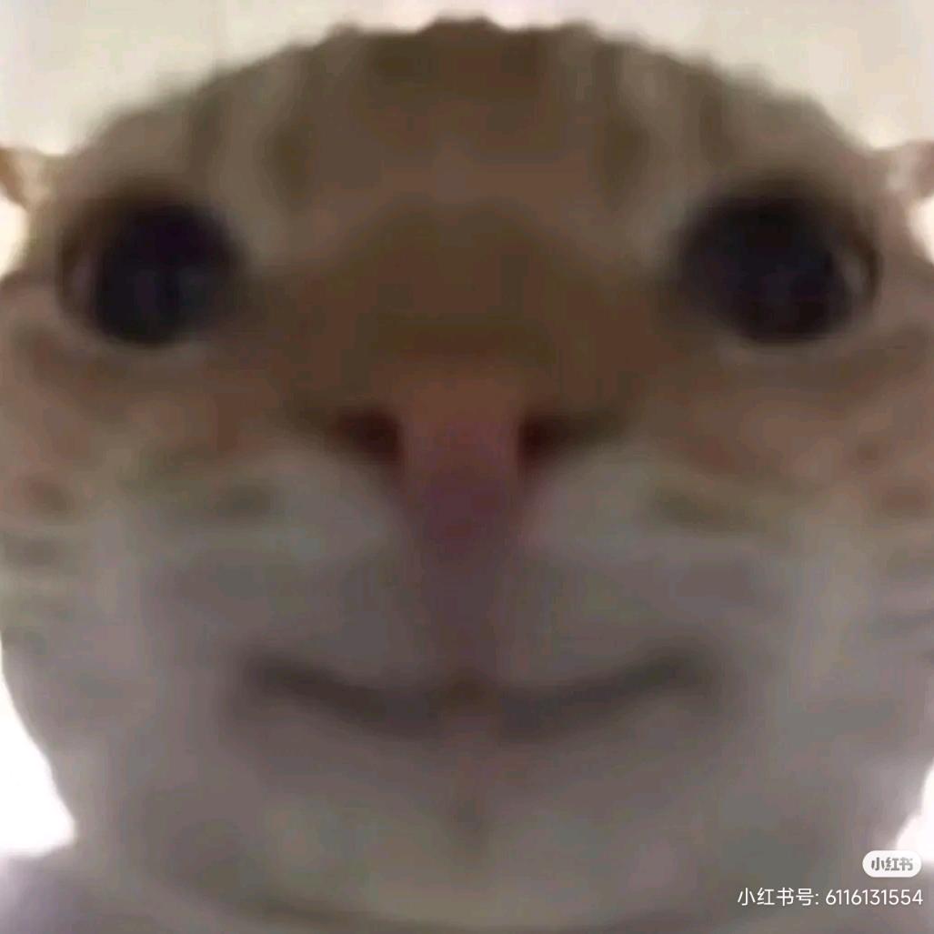 重生之我在三角洲跑刀