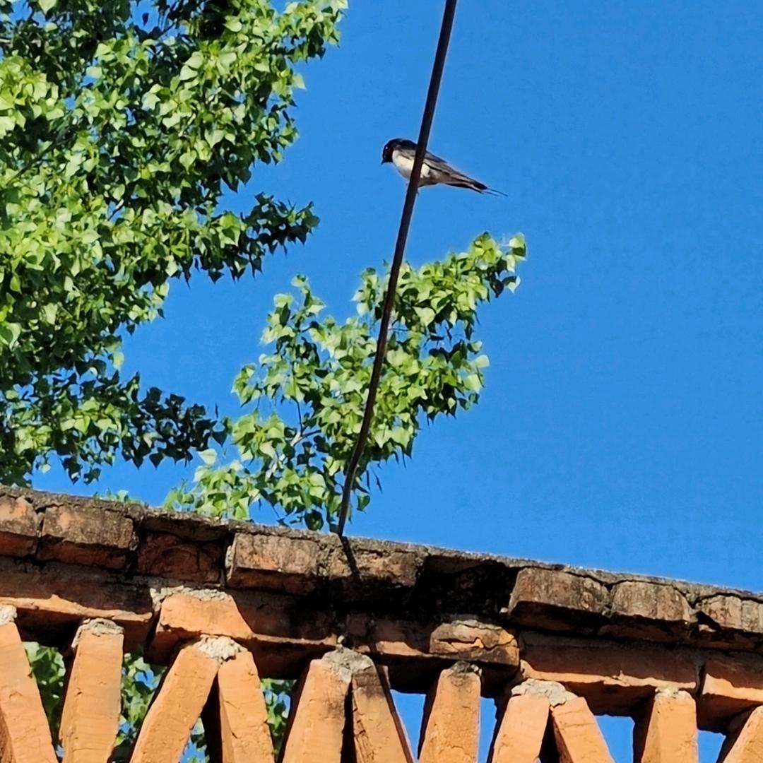 南阳热立方地暖机侯作鹏