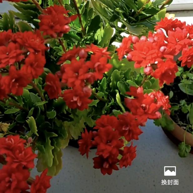 财源滚滚来