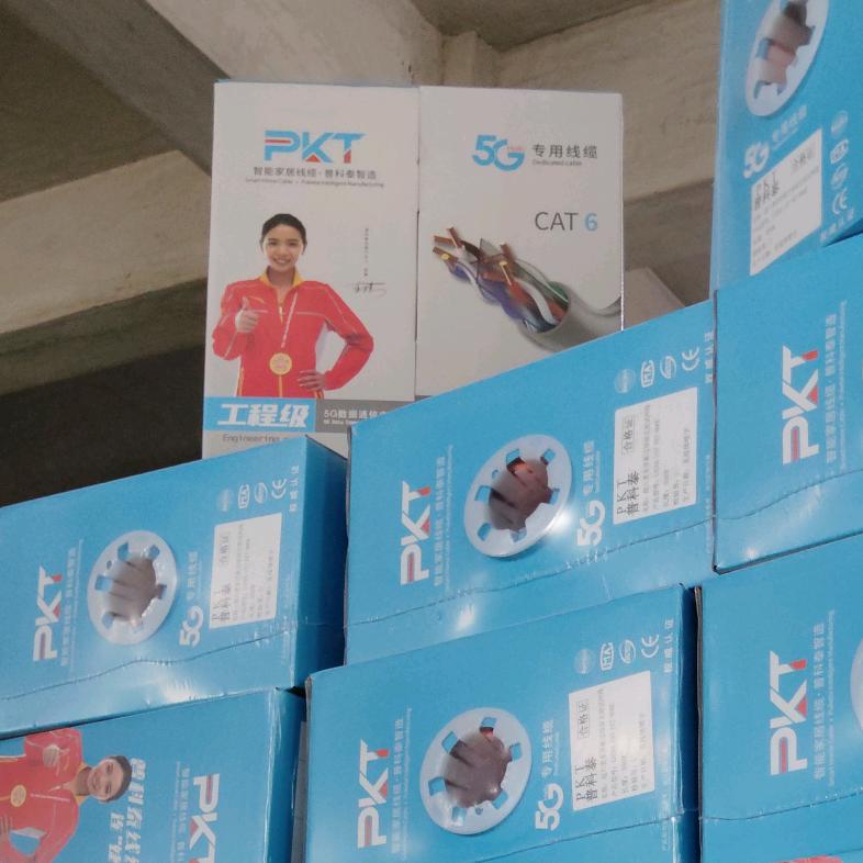 普科泰外贸网线源头厂家