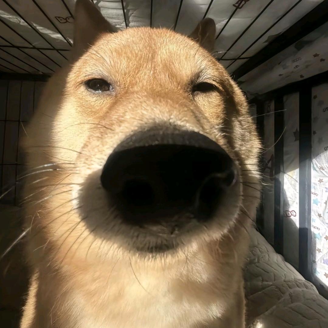 景玉