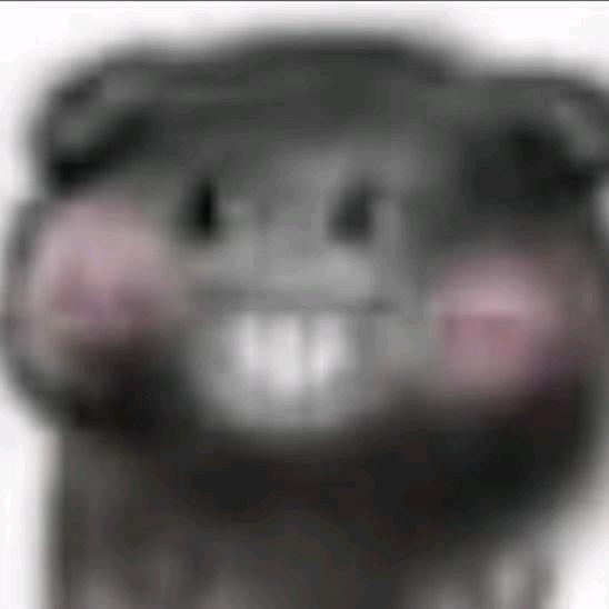 白给了