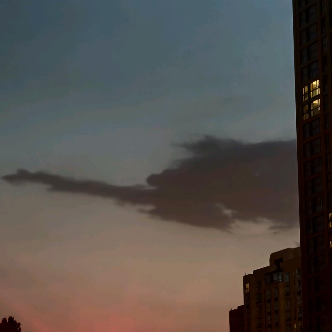 煤球是一只黑猫（三角洲行动）