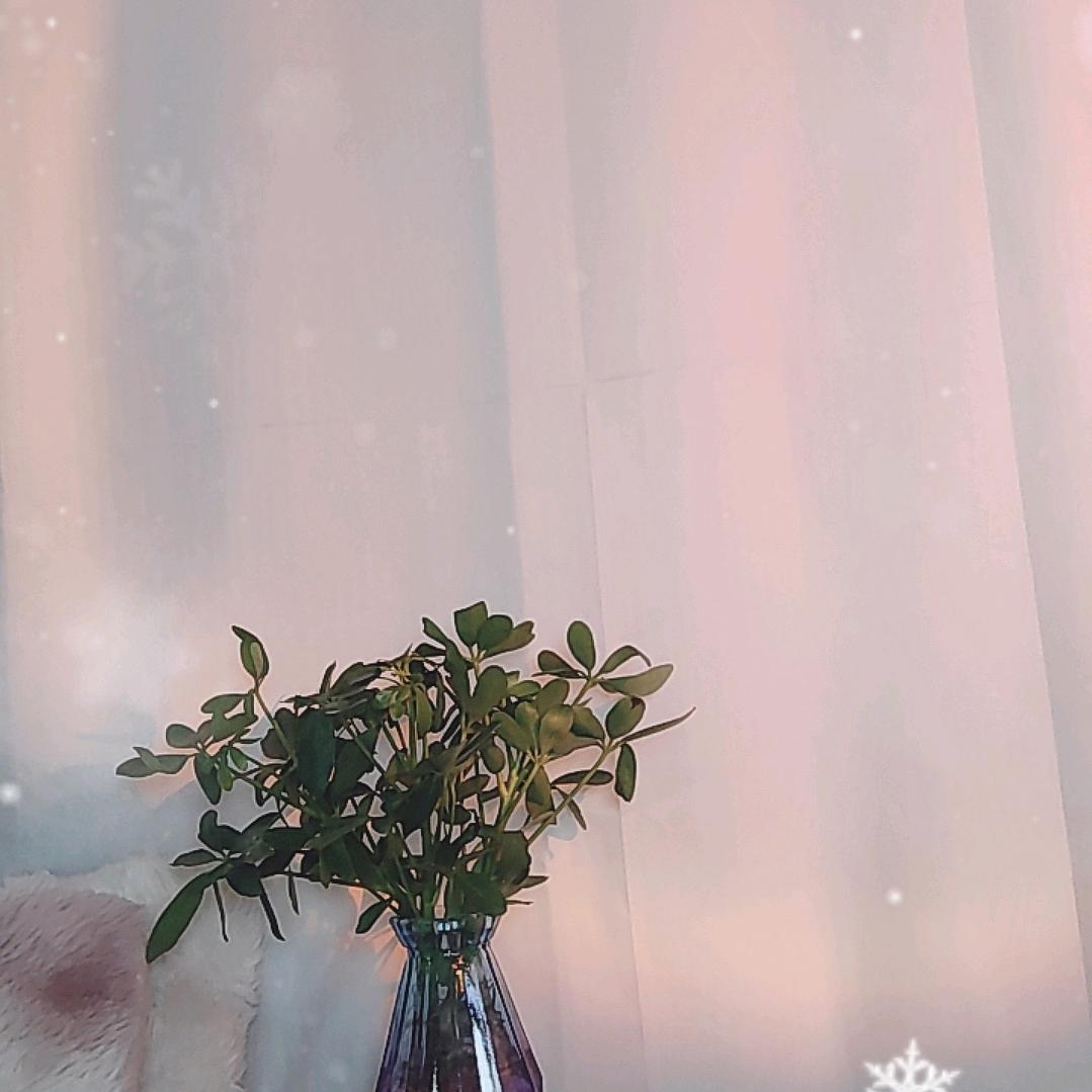 梦梦芽