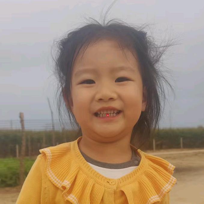 陕北养羊人