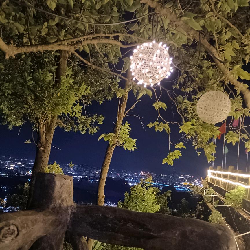 小邹