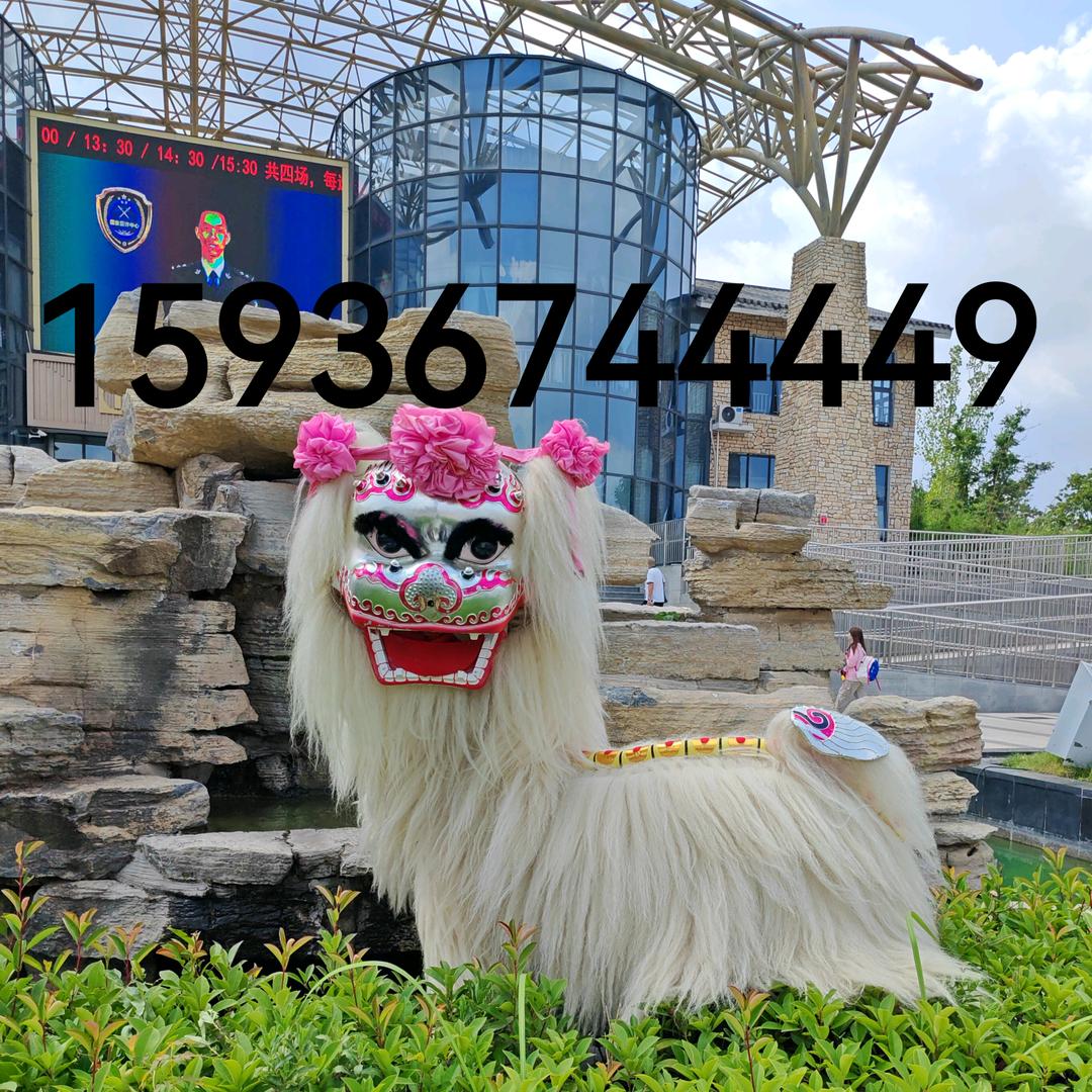 濮阳精彩小白狮（总团长）