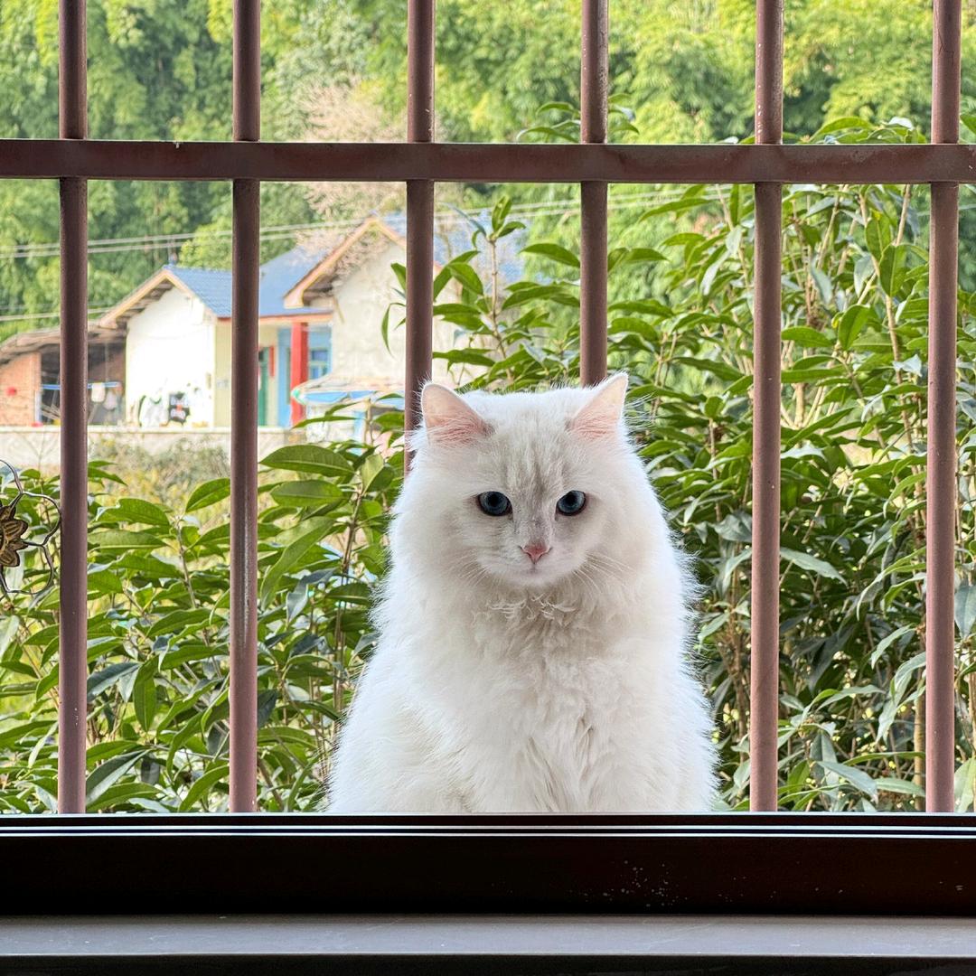 Keira.