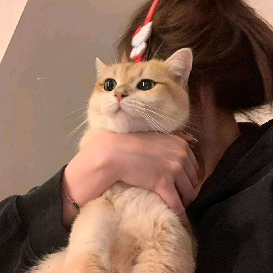 一加0