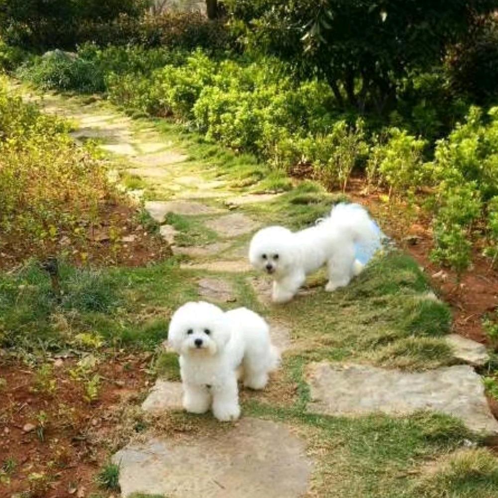 青儿_30841