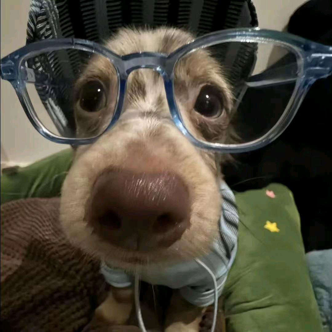 否极泰来！！！