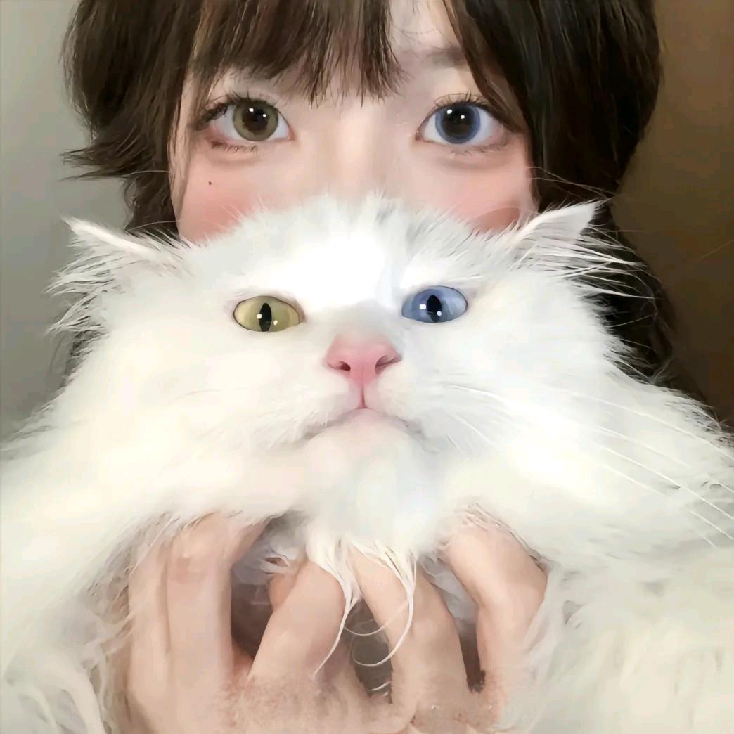 小猫吃一口，