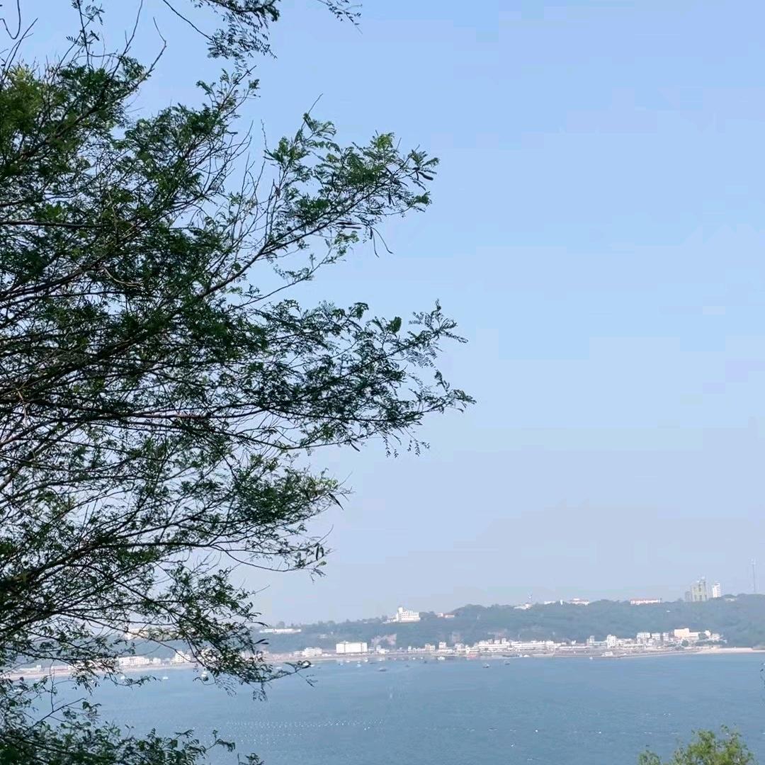 往事随風