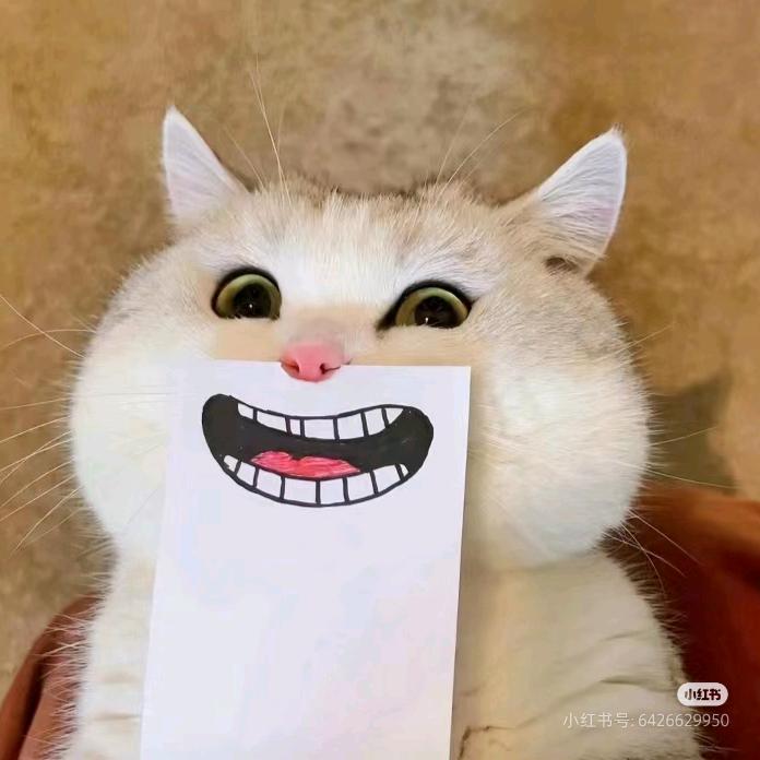 每到周末我要离开地球🌐