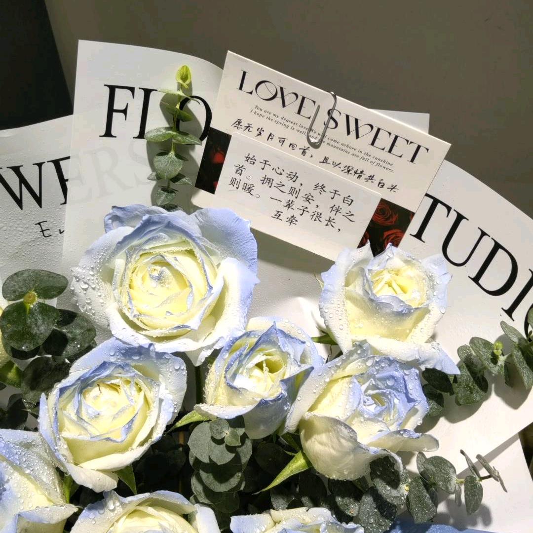 比奇堡最帅的男人