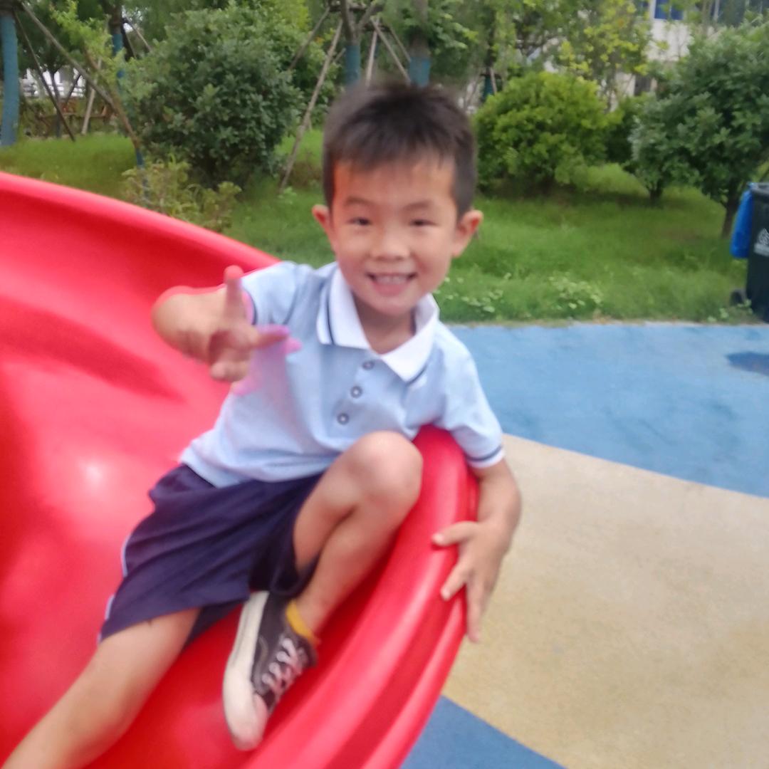 羚羊