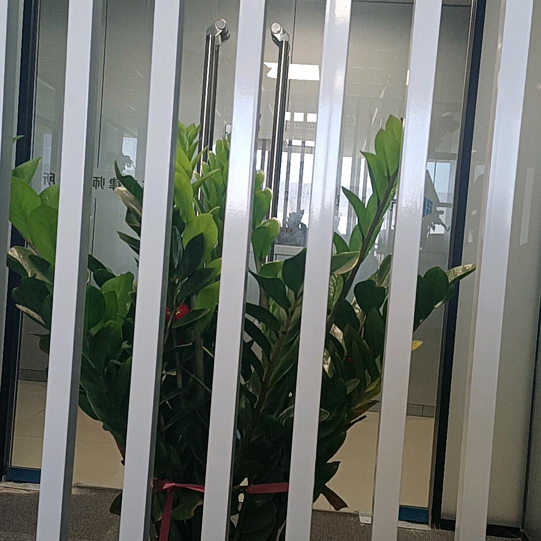 龙猫趣发现
