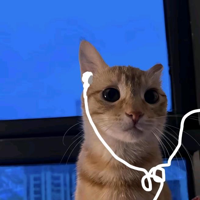 冬日兔猫头像