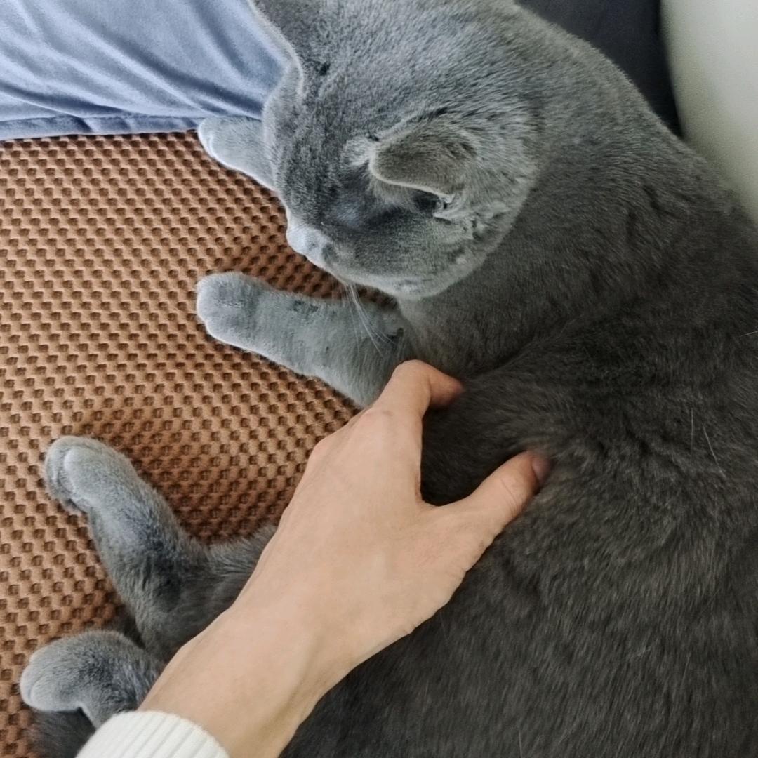 一蓑烟雨任平生√