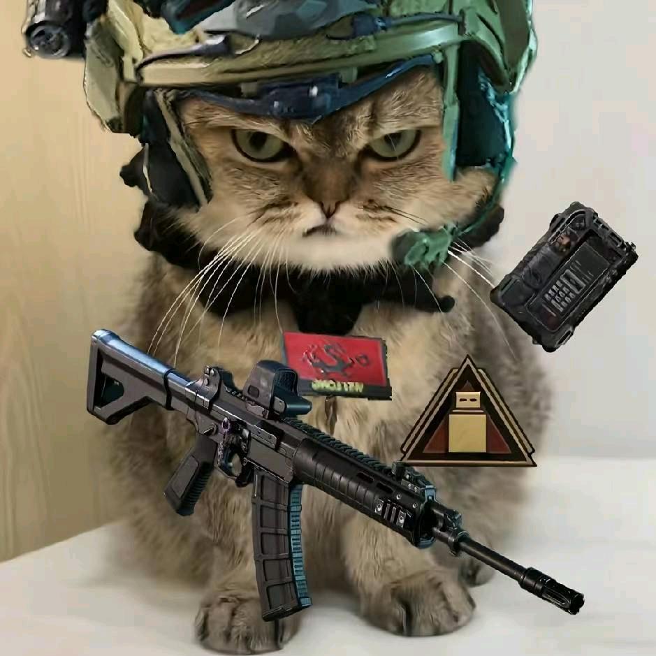 威风的龙（咪）