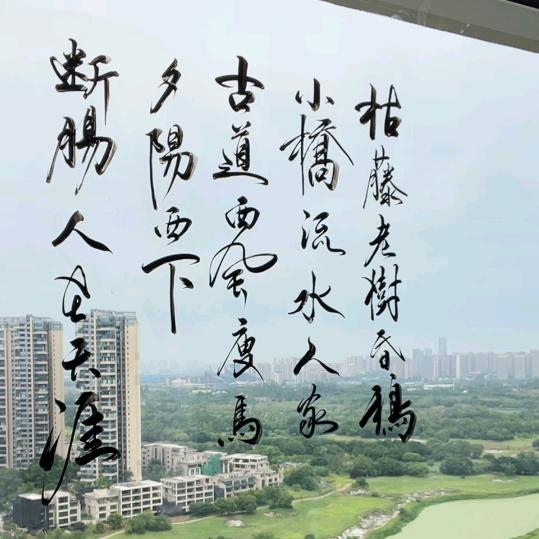 满目星陈皆是李