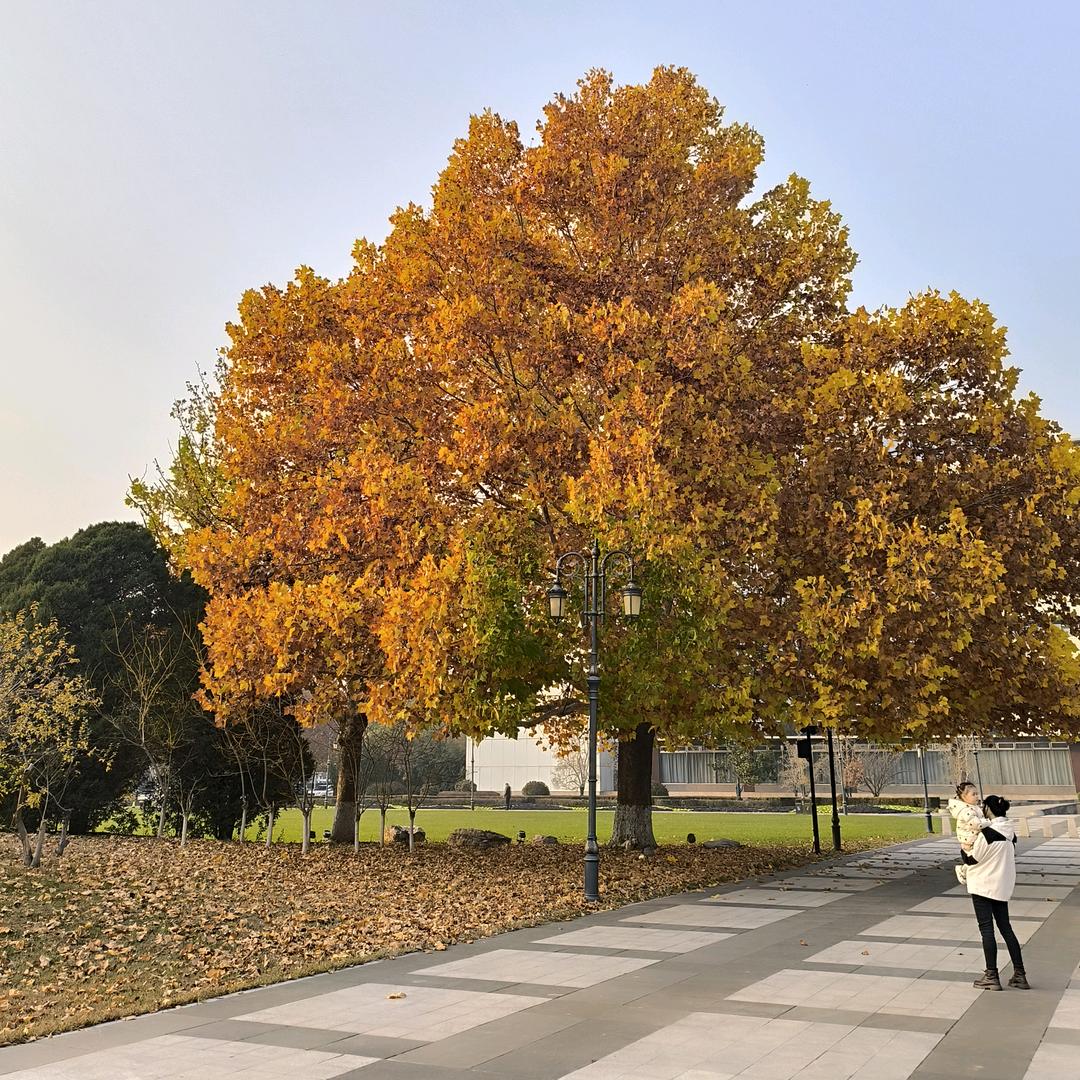 ♡❀玉玊᭄❀♡