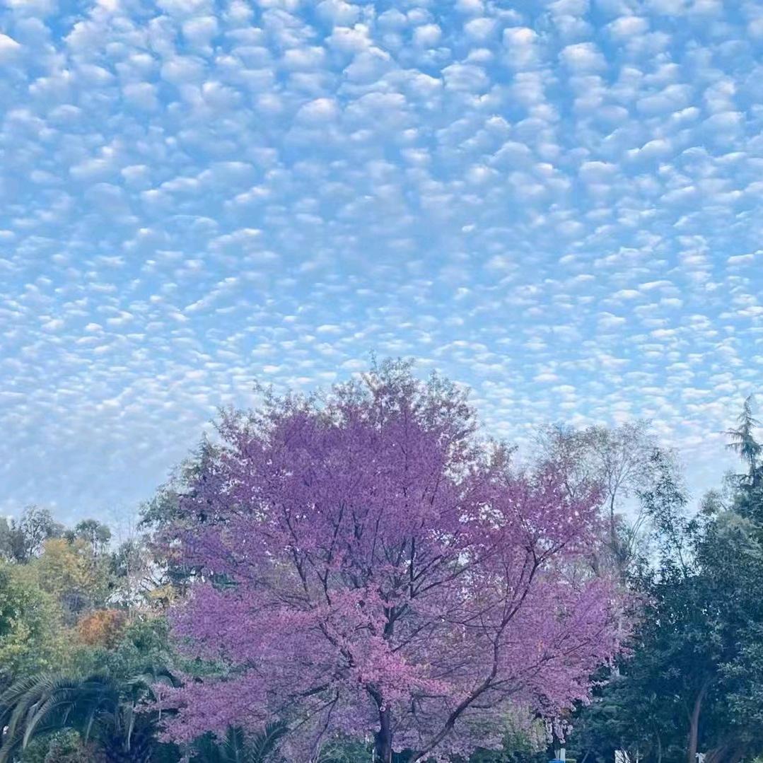 最后一步是尊严