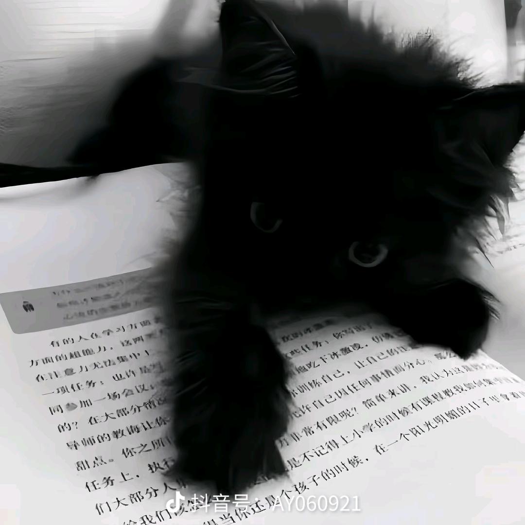 关你屁事