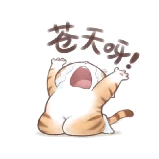左岸   小鱼