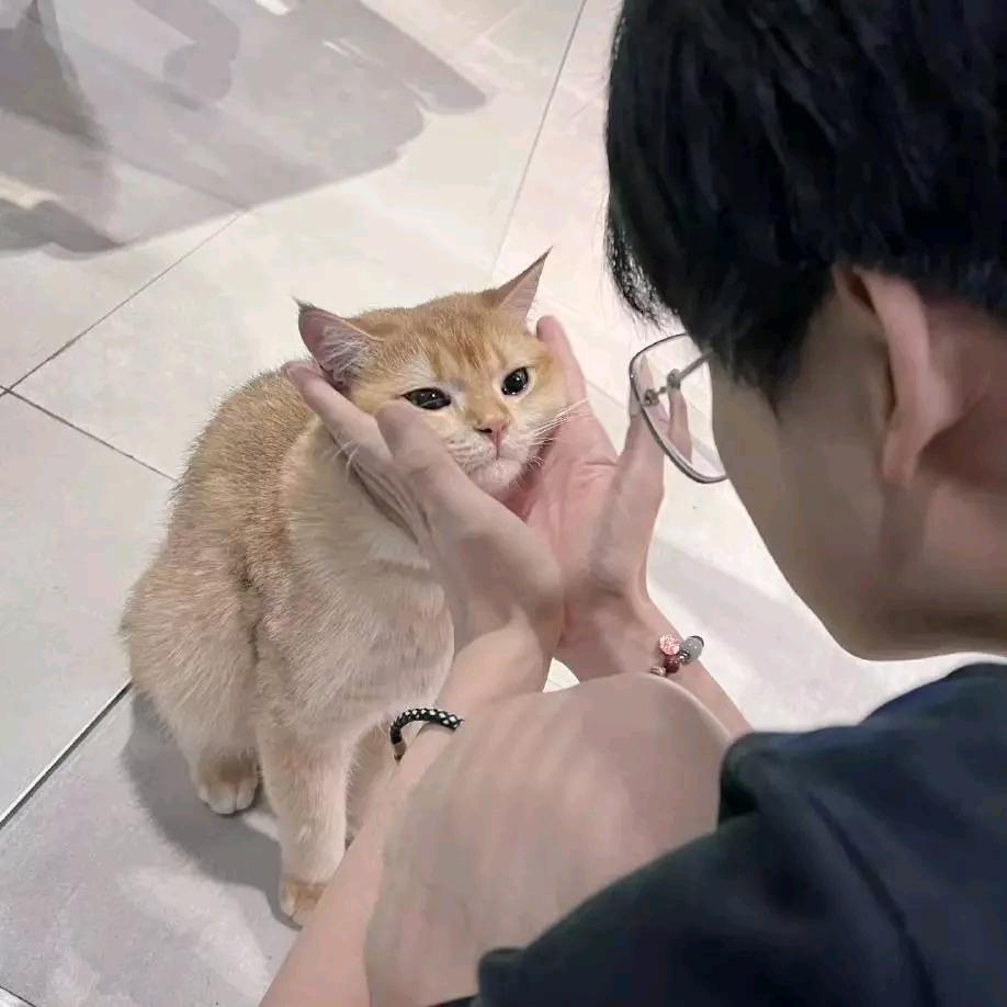 喻小仙女（减肥版）