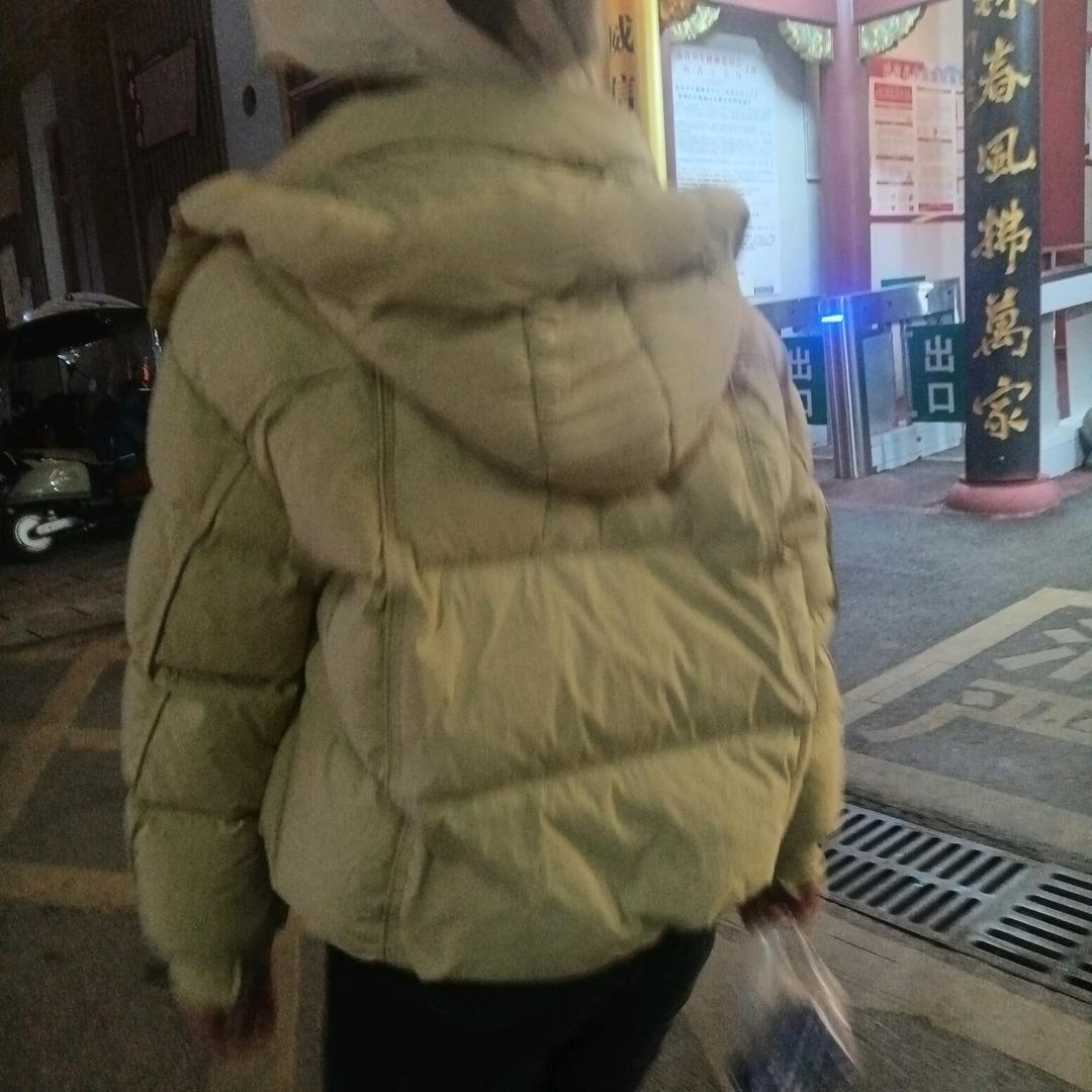 风流浪子
